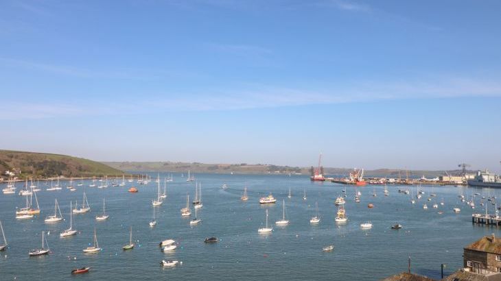 Little Chycoose - Photo 48