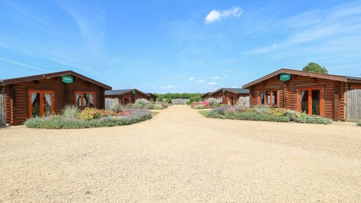 Ash Lodge - Photo 1