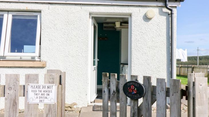 Poppies Cottage - Photo 12