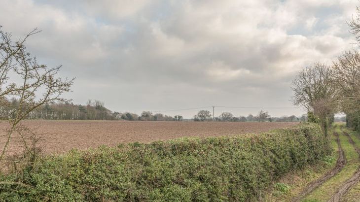 Flint Barn - Photo 30
