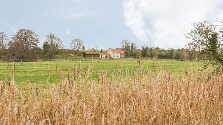 West Farm - Photo 35