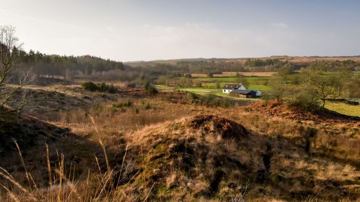 Borgan Cottage - Photo 24