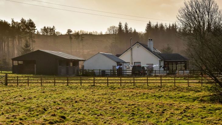 Borgan Cottage - Photo 23