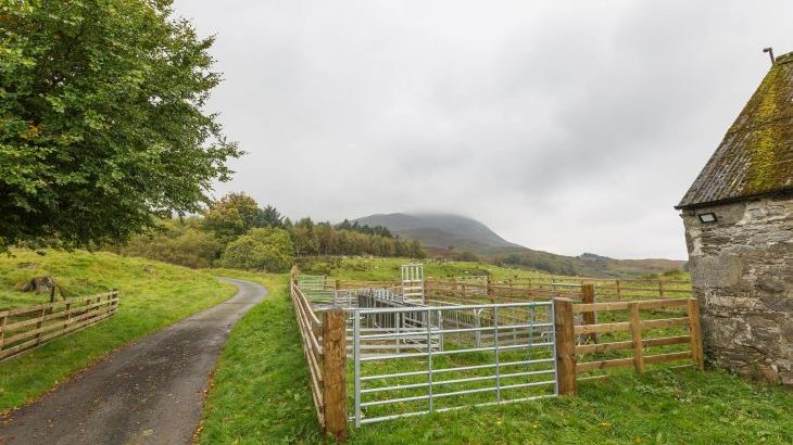 Braes of Foss Farmhouse - Photo 45