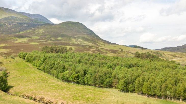 Braes of Foss Farmhouse - Photo 49