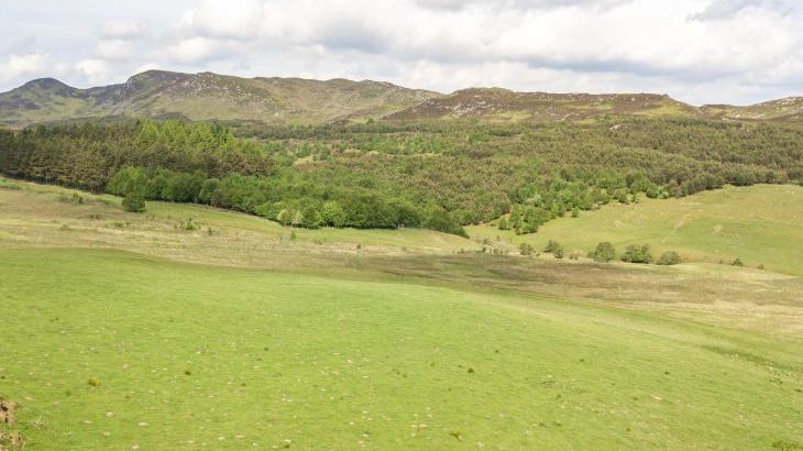Braes of Foss Farmhouse - Photo 53