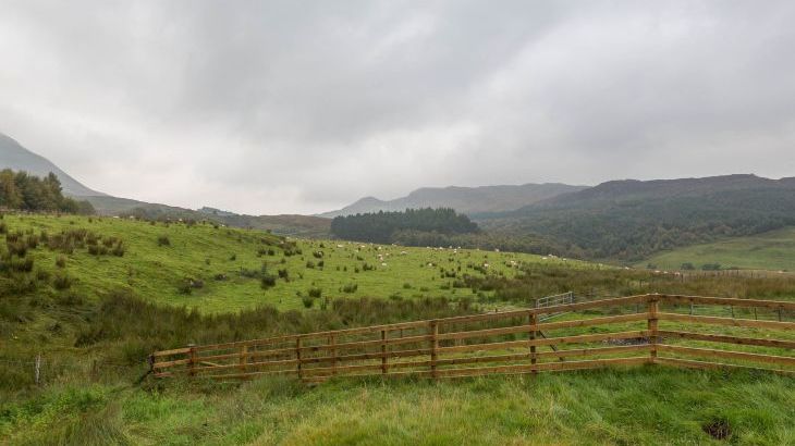Braes of Foss Farmhouse - Photo 56