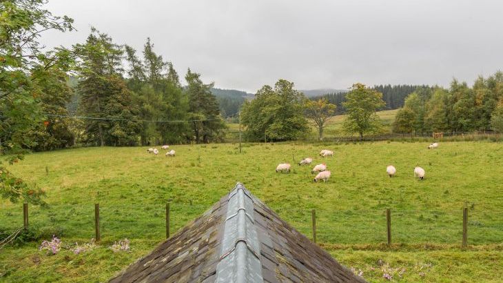 Braes of Foss Farmhouse - Photo 58