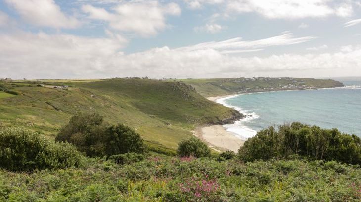 The Lookout - Photo 20