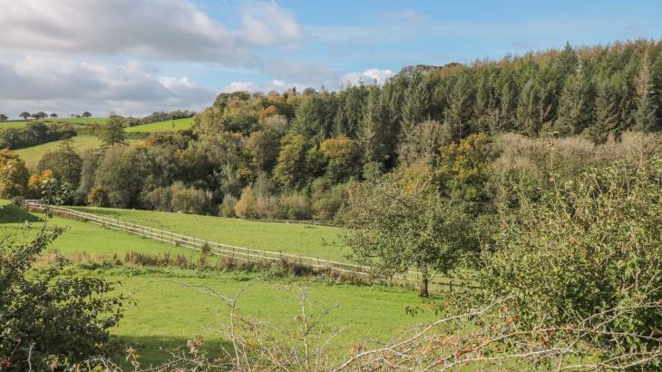 Manor Cottages - Photo 62