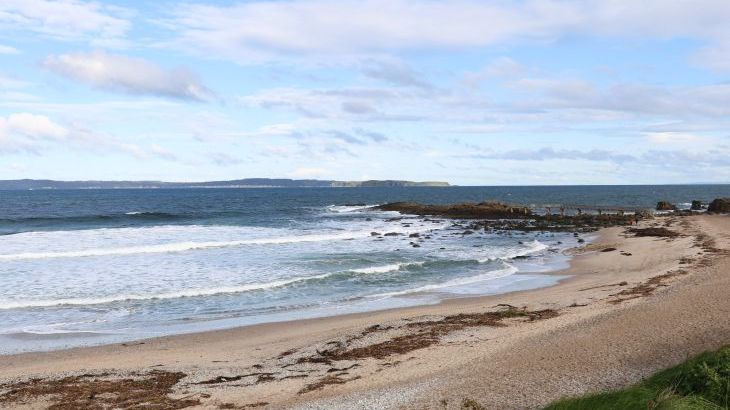 Carriguisnagh - Photo 35