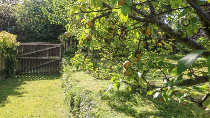 Westmorland Cottage - Photo 39