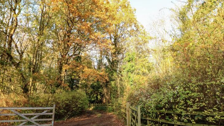 Sunny Cottage - Photo 55