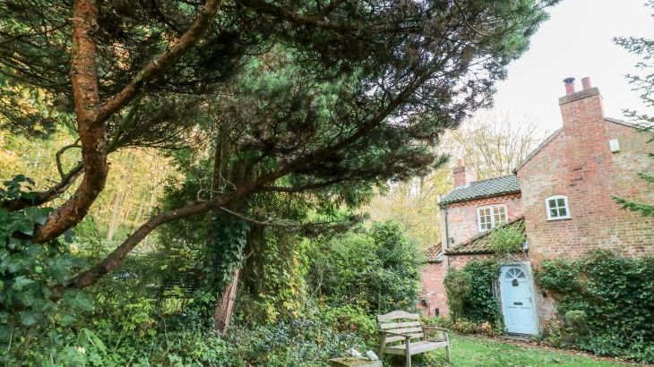Sunny Cottage - Photo 44