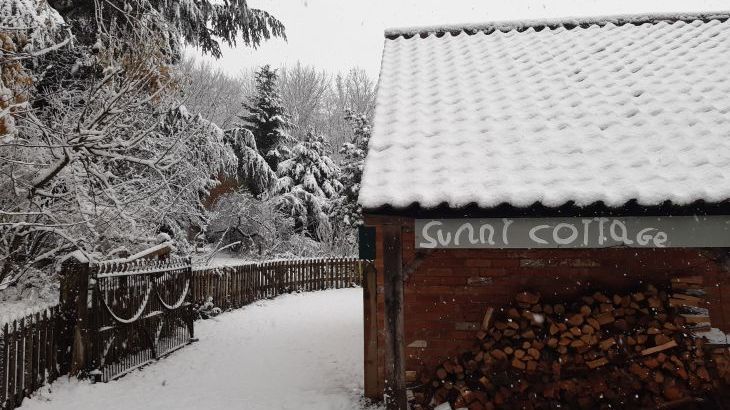 Sunny Cottage - Photo 48