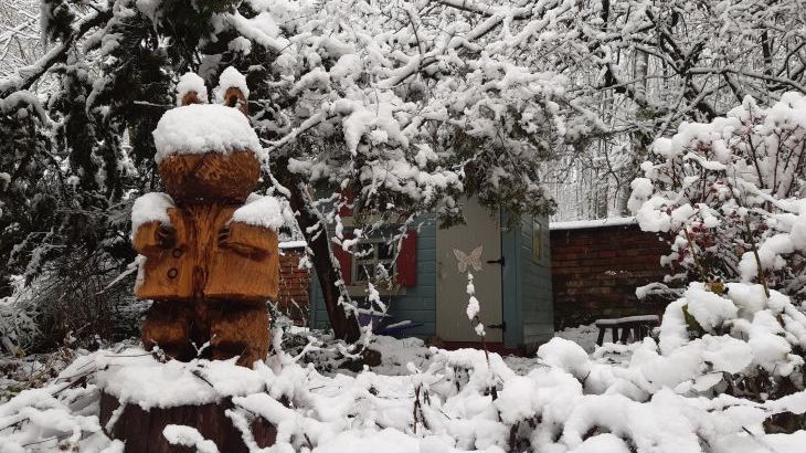 Sunny Cottage - Photo 56
