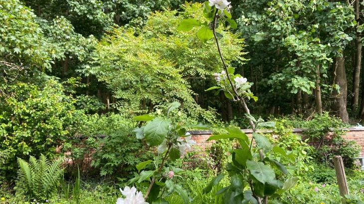 Sunny Cottage - Photo 58