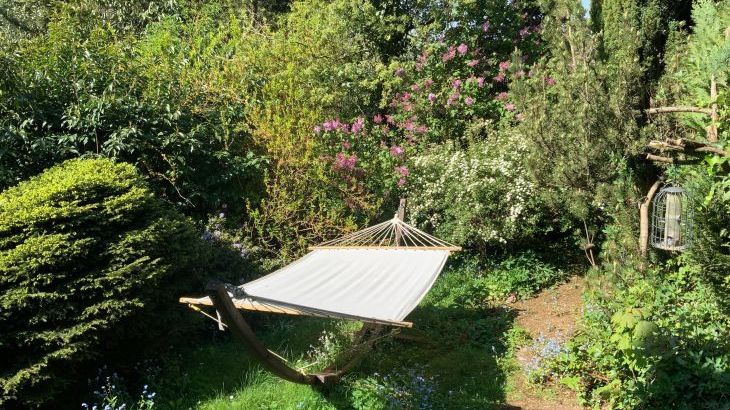 Sunny Cottage - Photo 60
