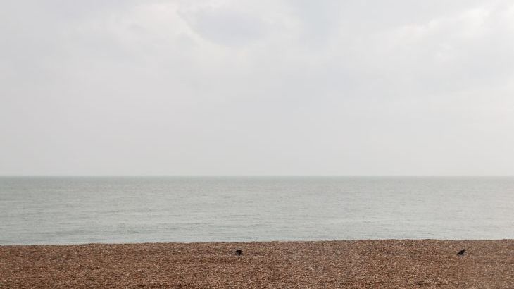 Fairlight View - Photo 26