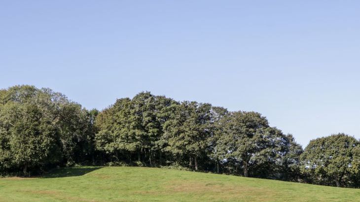 Breaches Barn - Photo 38