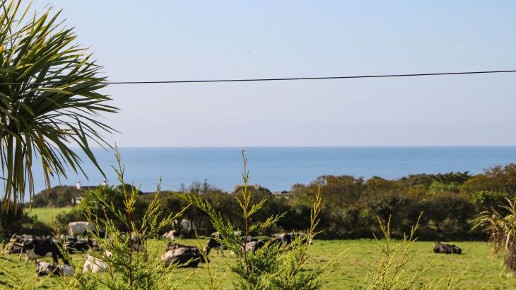 Two Threes - Photo 34