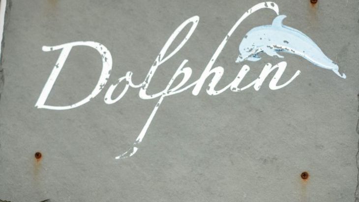 Dolphin Lodge - Photo 18