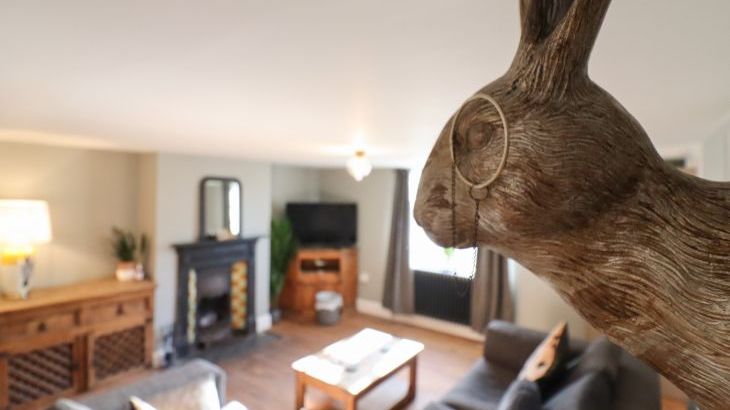 The Old Red Lion - Photo 10
