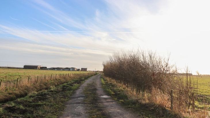 Curlew Corner - Photo 20