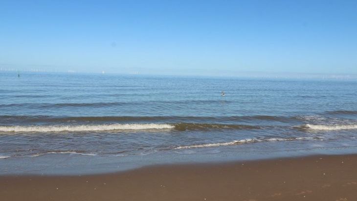 Beachway - Photo 32
