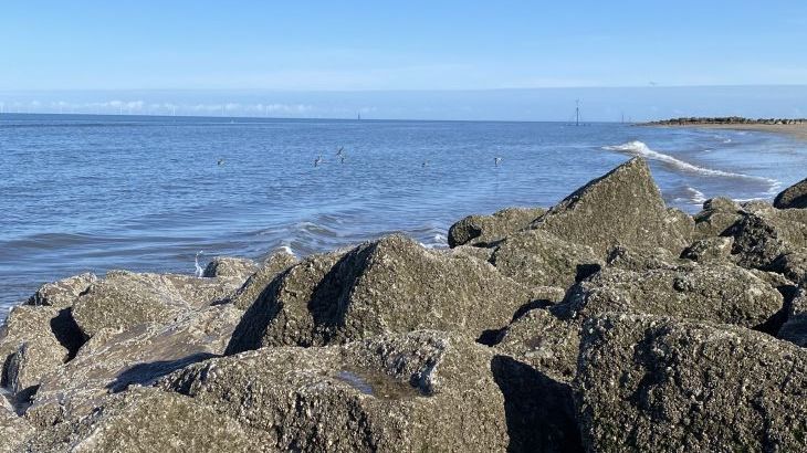Beachway - Photo 31