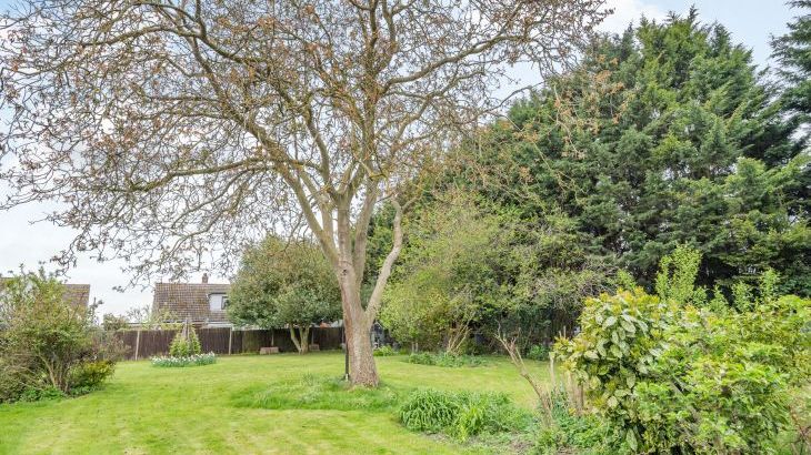 Violet Cottage - Photo 29