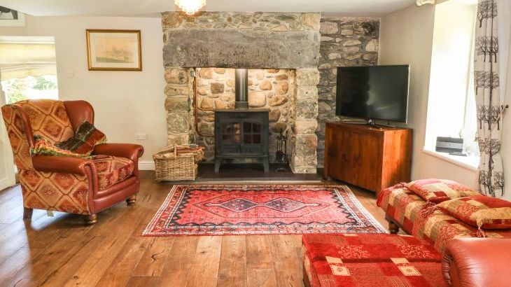 Plas Mawr - Photo 2