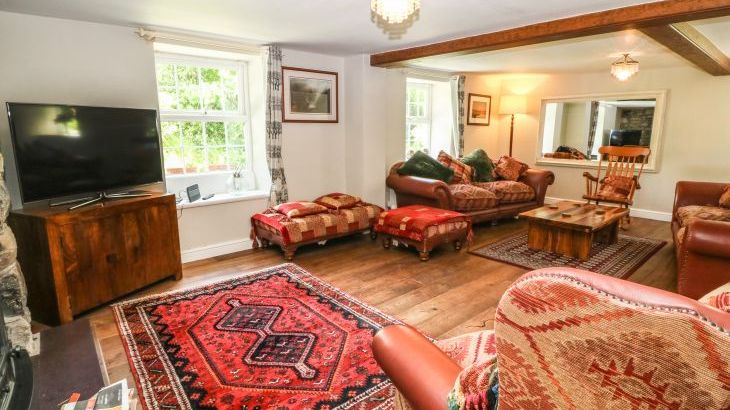 Plas Mawr - Photo 5