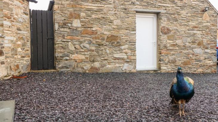 Garth Morthin Luxury Barn - Photo 19