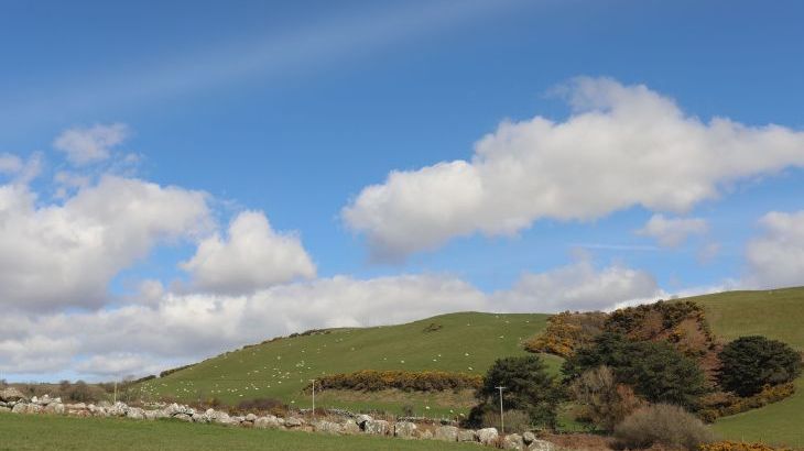 Awelfryn - Photo 43