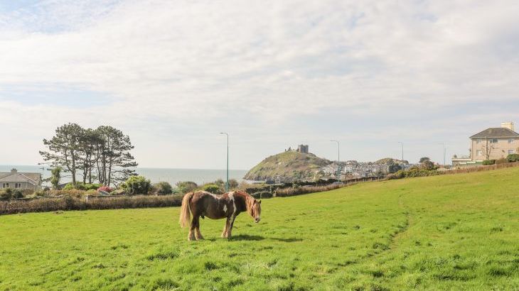 Awelfryn - Photo 48