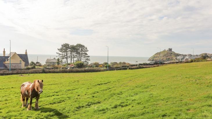 Awelfryn - Photo 49