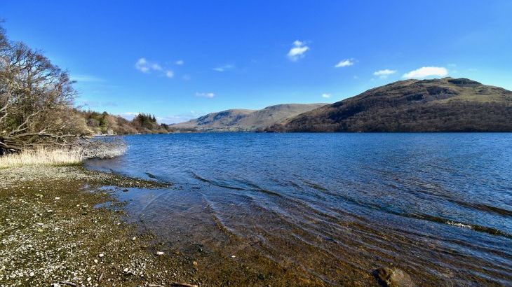 Yewtree House - Photo 59