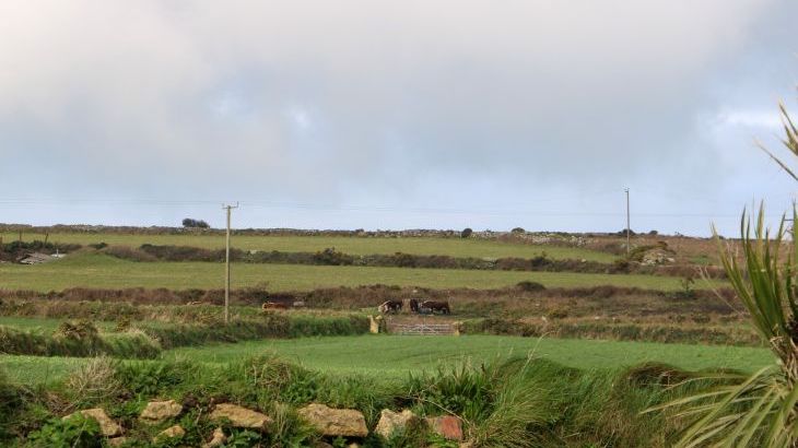 Chywolow Lodge - Photo 41