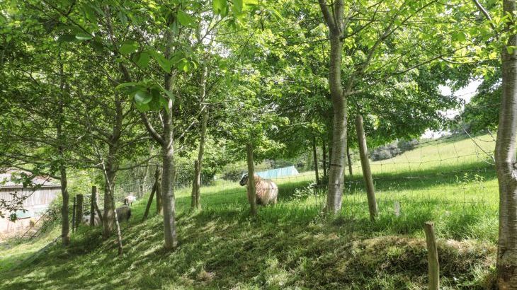 The Barn - Photo 39