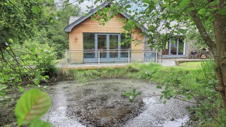 Bracken Ground - Photo 1