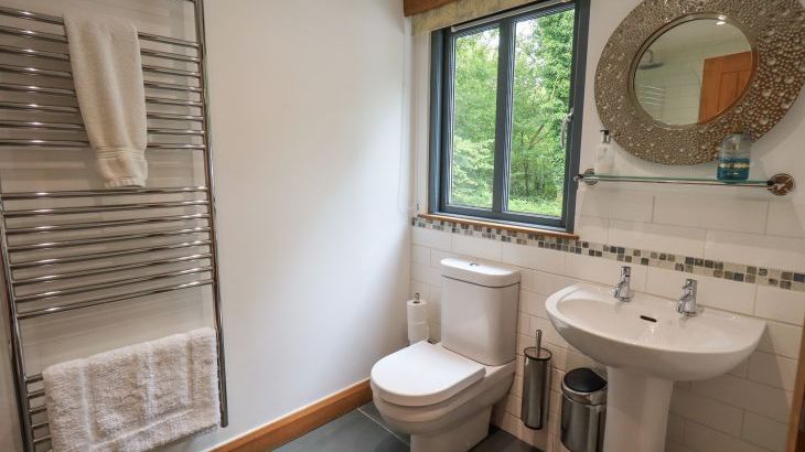 Bracken Ground - Photo 24