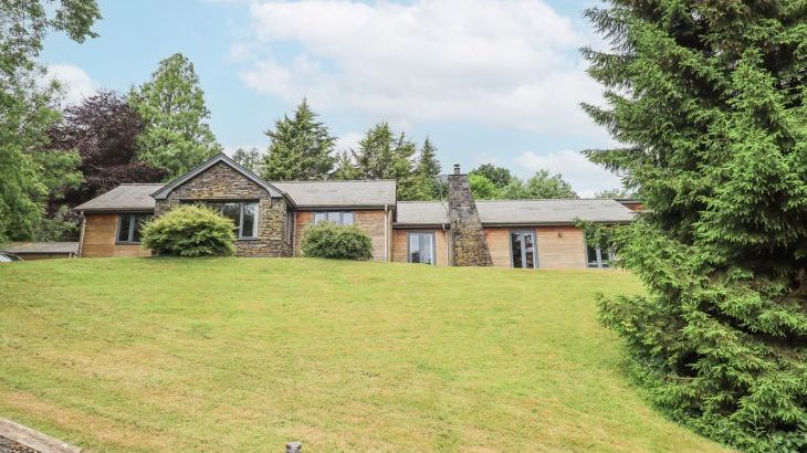 Bracken Ground - Photo 51