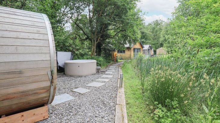 Bracken Ground - Photo 53