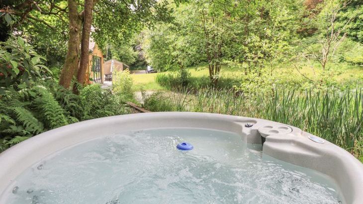 Bracken Ground - Photo 56