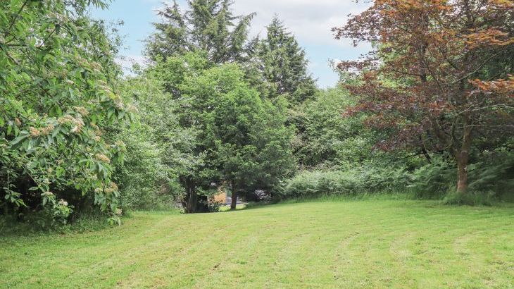 Bracken Ground - Photo 59