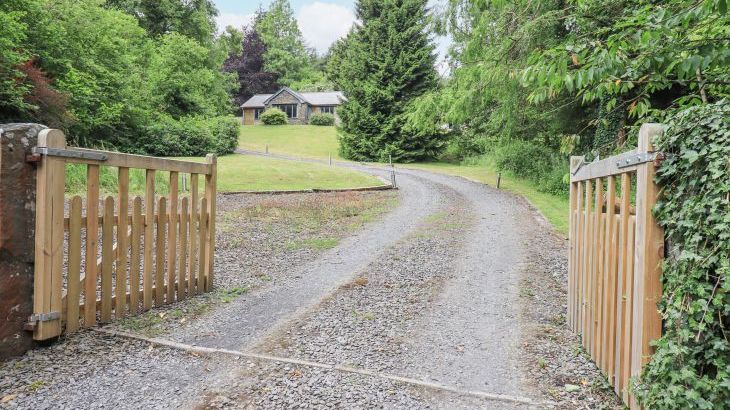 Bracken Ground - Photo 63