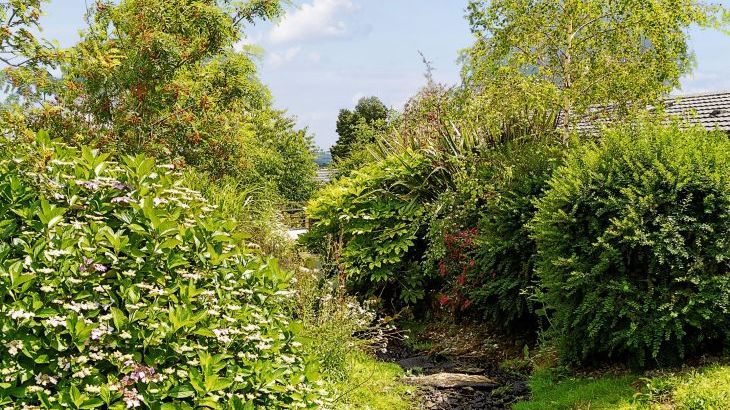 12 Meadow Retreat - Photo 22