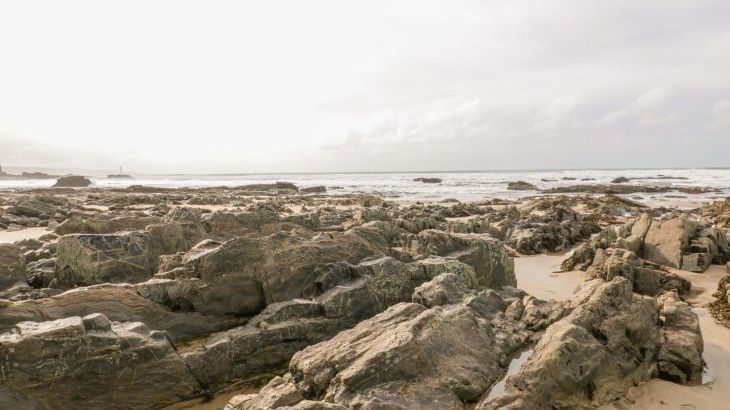 Penhaven - Photo 49