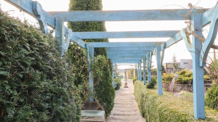 Silver Birch Lodge - Photo 28